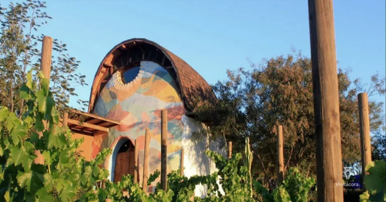 solybarrovinos-valledeguadalupe-bajacalifornia-60