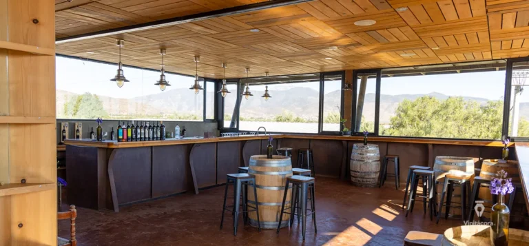 torresalegreyfamilia-valledeguadalupe-bajacalifornia-16