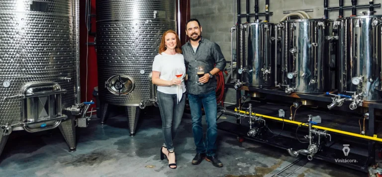 totolvinos-valledeguadalupe-bajacalifornia-61