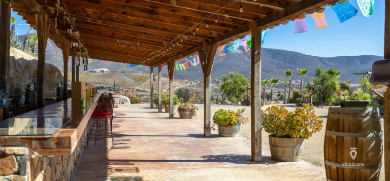 viñasdelaerre-valledeguadalupe-bajacalifornia-26