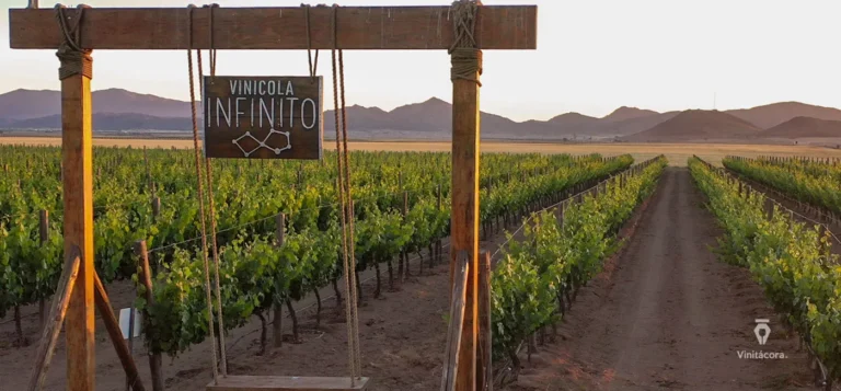 vinicolainfinito-valledeojosnegros-bajacalifornia-14