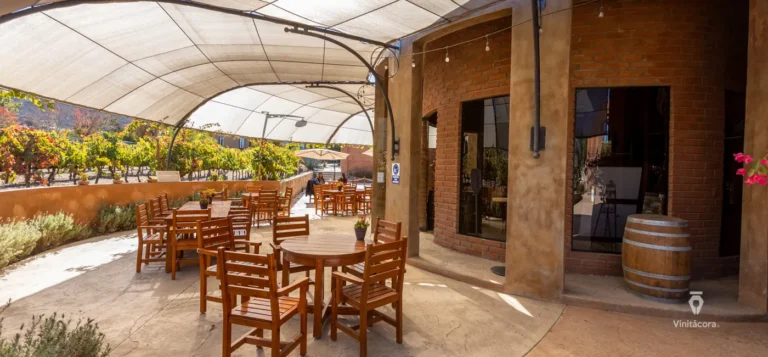 vinisterra-valledeguadalupe-bajacalifornia-21