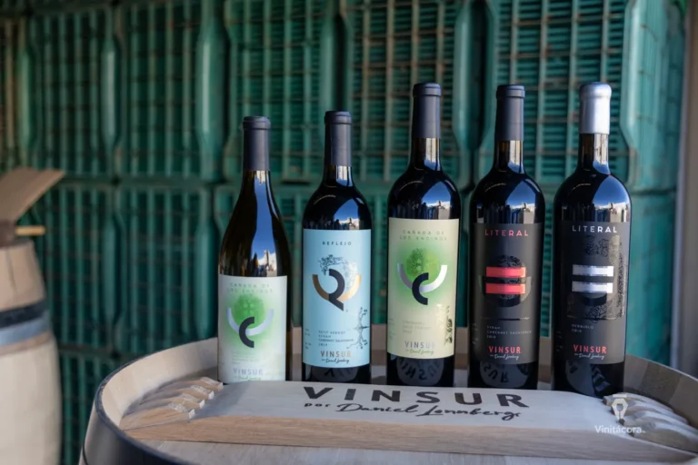 vinsur-valledeguadalupe-bajacalifornia-37