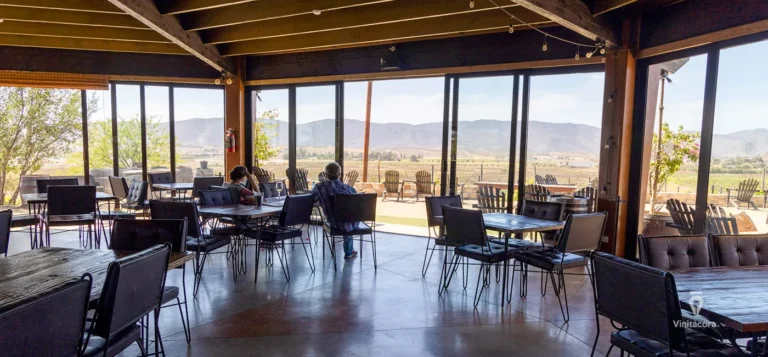 xecuevinos-valledeguadalupe-bajacalifornia-12